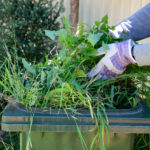 5 ideas for reusing green waste in the garden