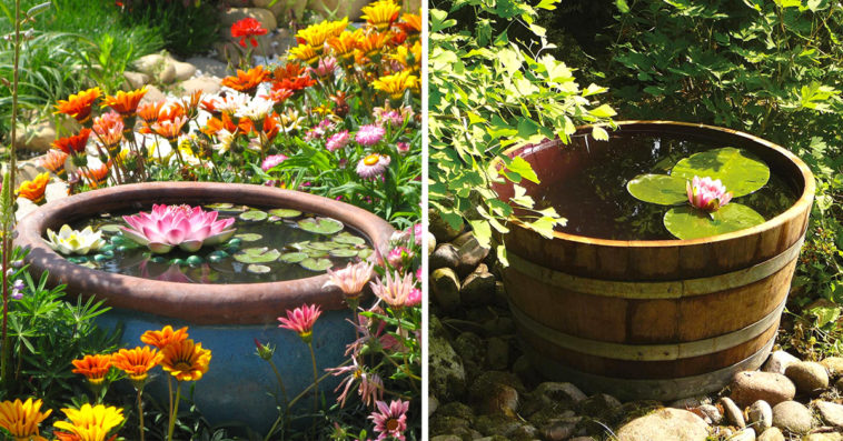 Petits étangs originaux en pots.