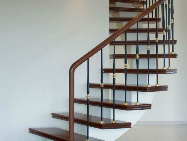 Iron Ladder Railing (2)