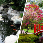 8 steps to have a beautiful Japanese garden