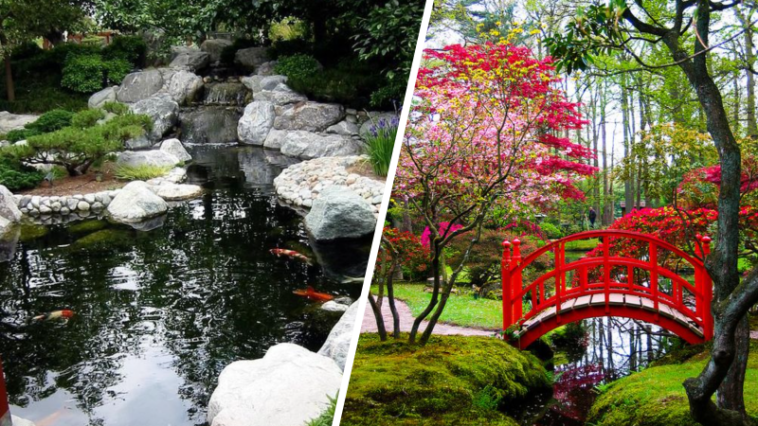 8 steps to have a beautiful Japanese garden