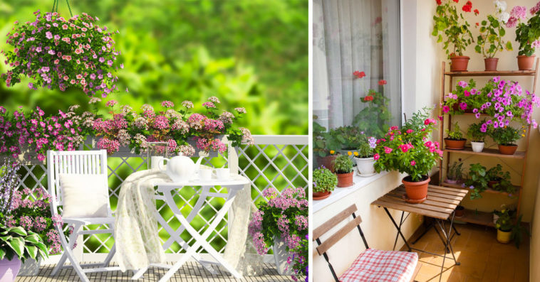 Transformer son balcon en un jardin de fleurs.