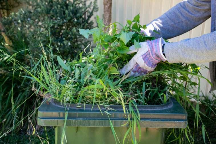 5 ideas for reusing green waste in the garden