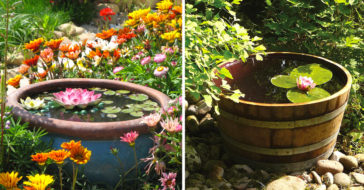 Petits étangs originaux en pots.