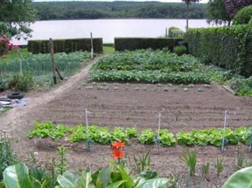 The French love their vegetable garden